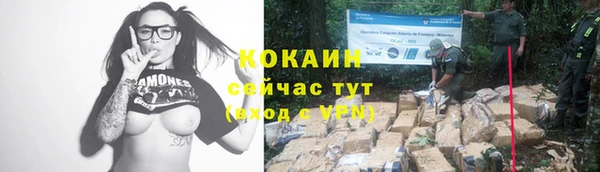 ALPHA PVP Богородицк