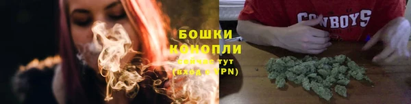 ALPHA PVP Богородицк