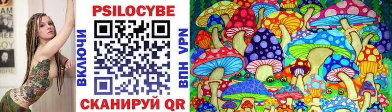 как найти закладки  Михайловка  Псилоцибиновые грибы Magic Shrooms 